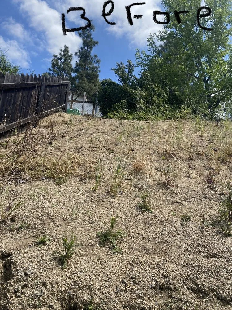 Professional landscape installation in Lakeside, CA by Baker Abatement