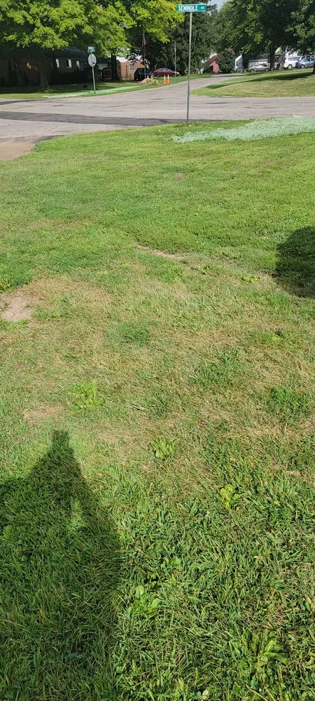 Trusted residential landscaping in Springfield Township, OH by Baker Family Creations