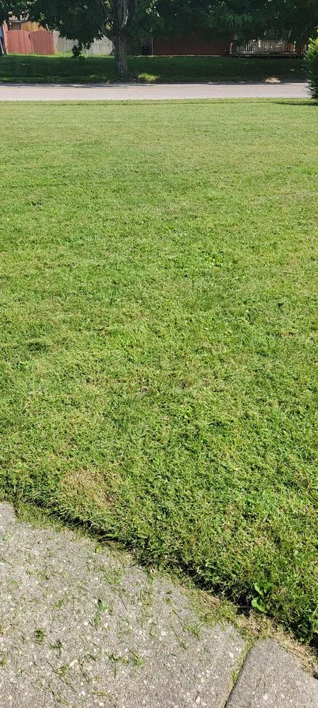 Expert residential landscaping near you in Springfield Township, OH by Baker Family Creations