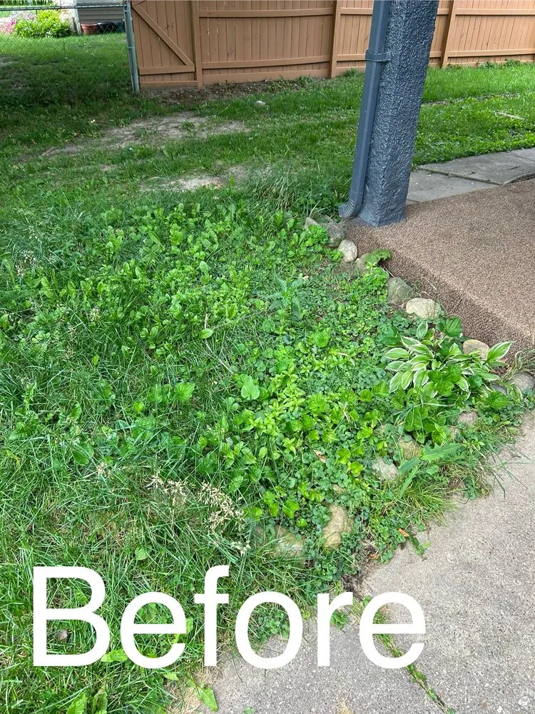 Affordable landscaping services in Machesney Park, IL - Baker Family Xteriors