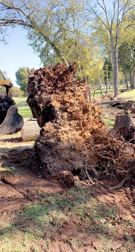 Local yard maintenance experts serving Maryville, TN - Baker groundwork's