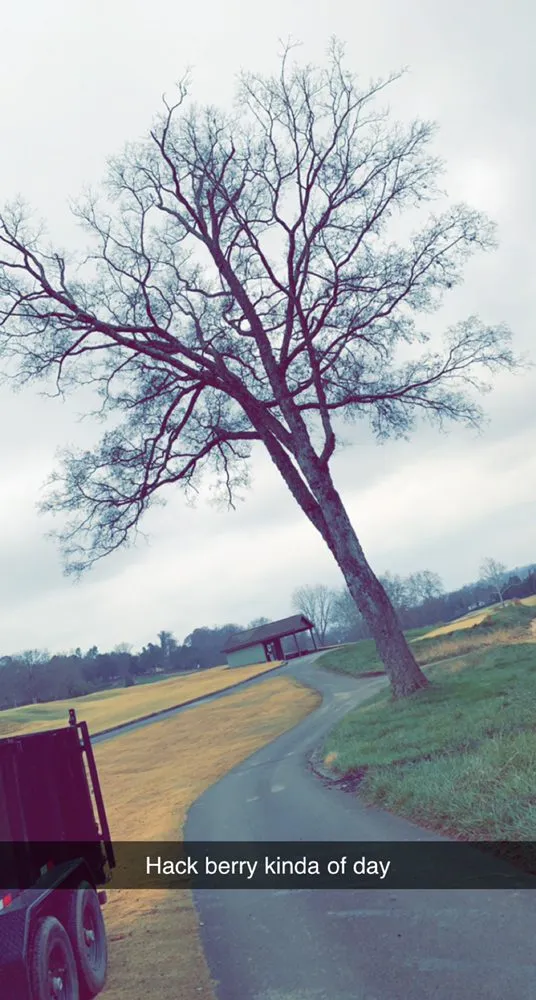 Local lawn care service for residential properties in Maryville, TN by Baker groundwork's