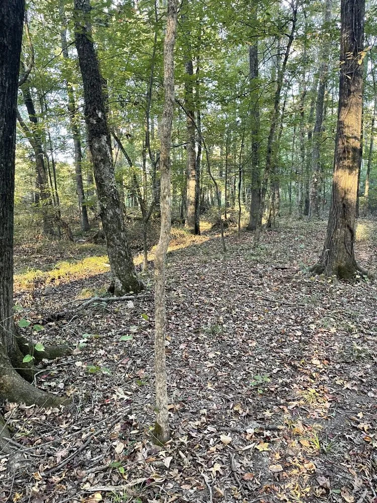 Reliable landscape installation experts serving Benton, AR - Baker Land Services