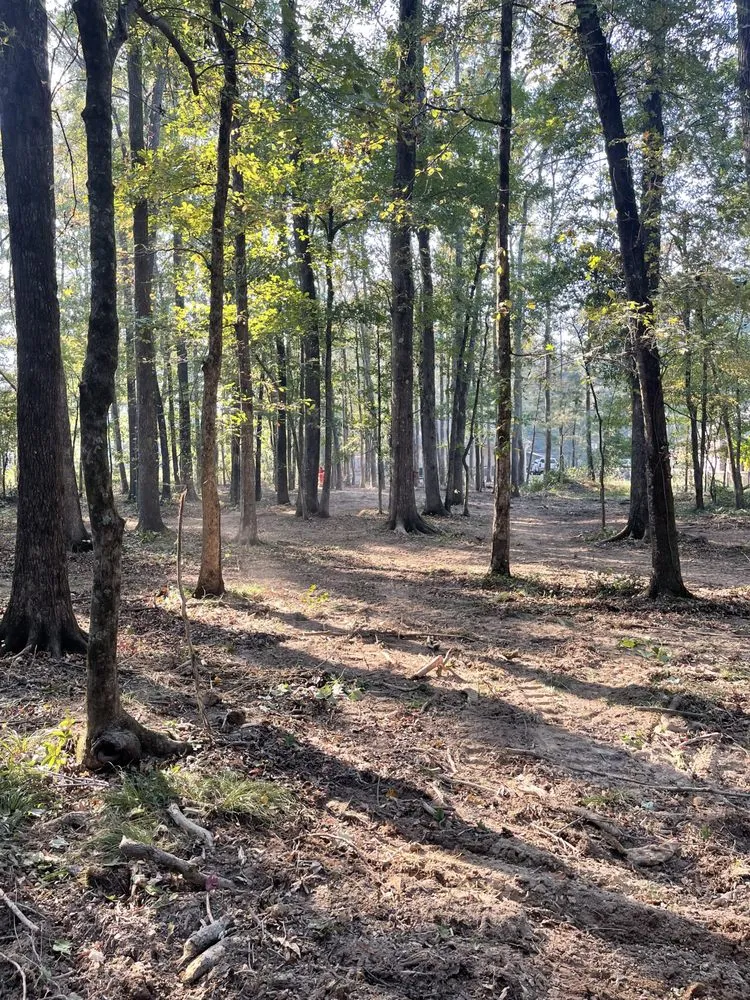 Reliable landscape installation for year-round maintenance across Benton, AR - Baker Land Services