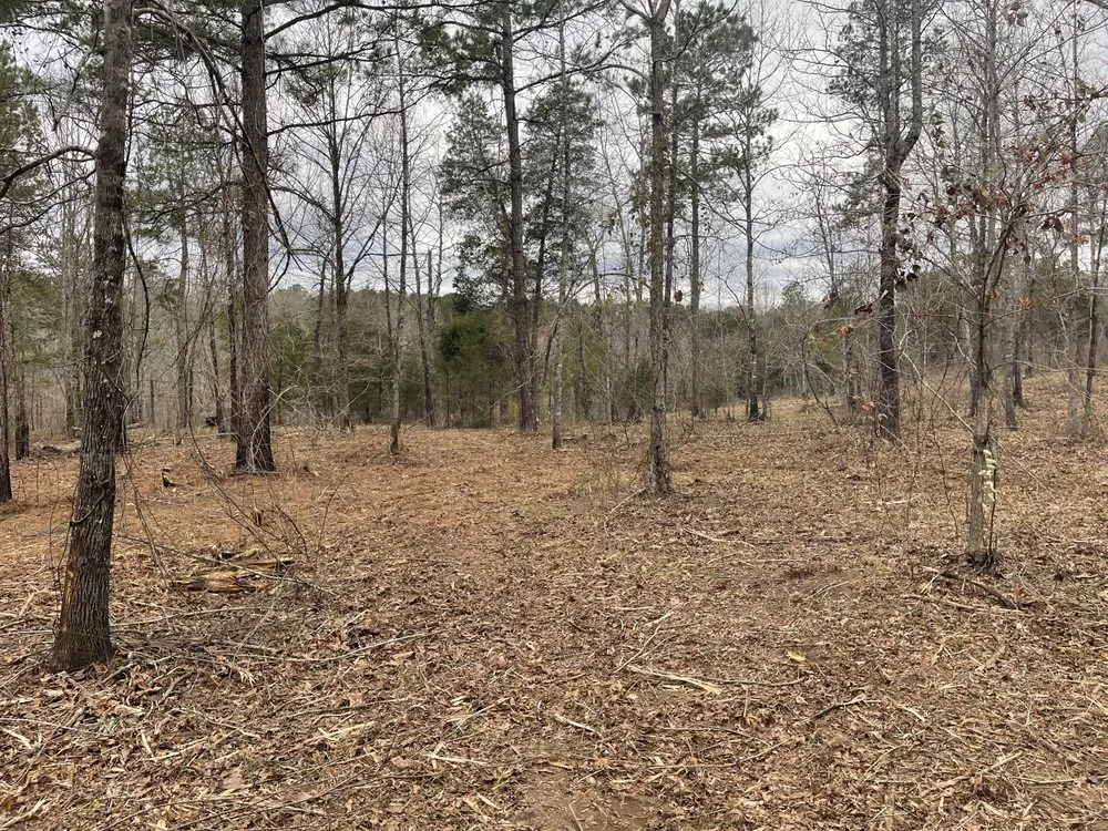 Trusted landscape design for beautiful yards across Benton, AR - Baker Land Services