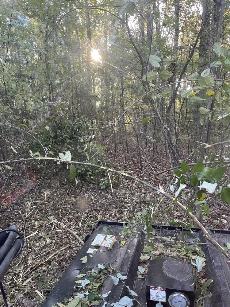 Expert yard cleanup service for year-round maintenance in Benton, AR by Baker Land Services