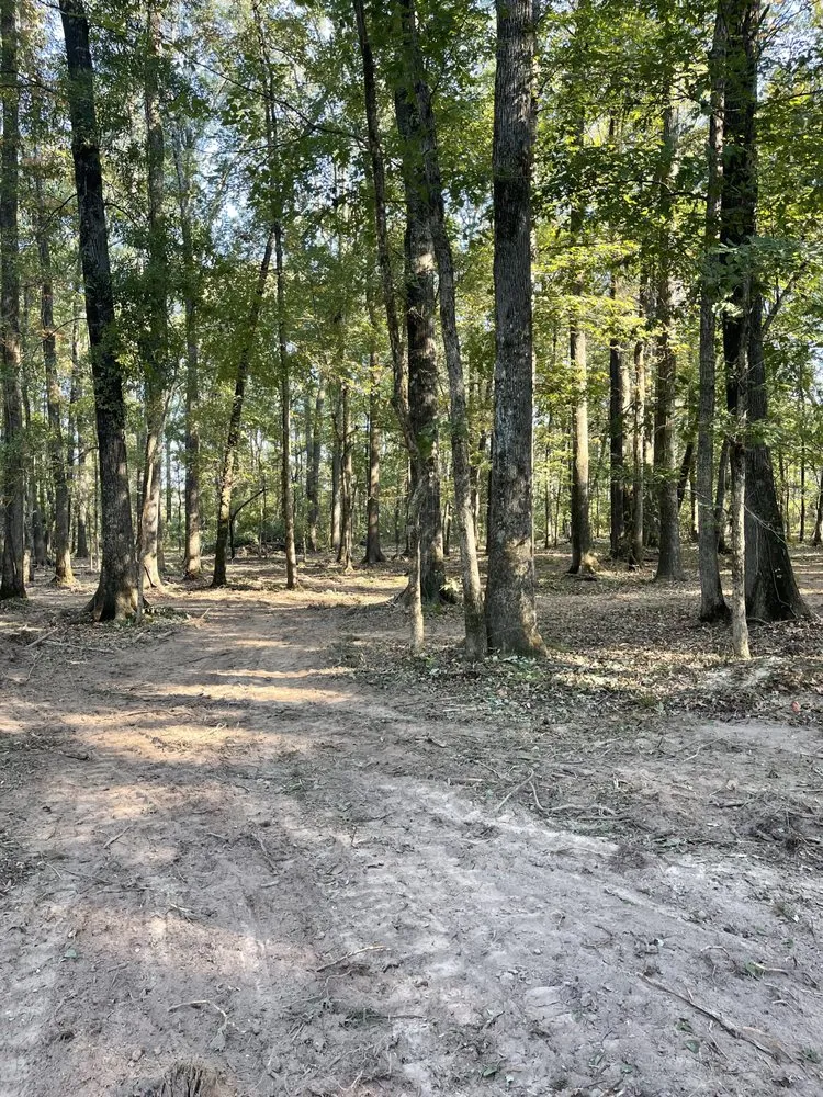 Professional garden landscaping experts serving Benton, AR - Baker Land Services