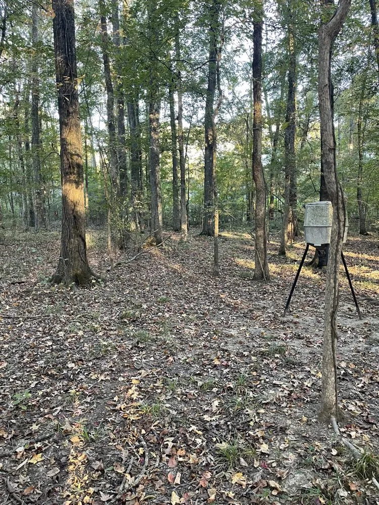 Affordable residential landscaping in Benton, AR - Baker Land Services