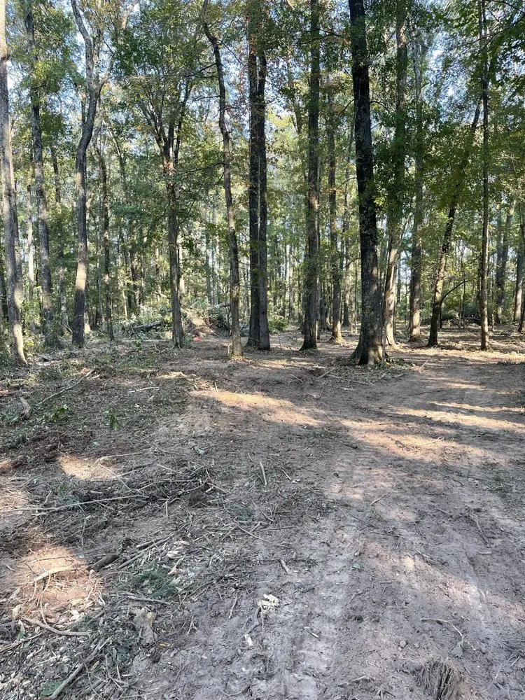 Professional residential landscaping for beautiful yards across Benton, AR - Baker Land Services