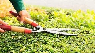 Professional landscaping services for outdoor upgrades in House Springs, MO by Baker Landscaping & Concrete