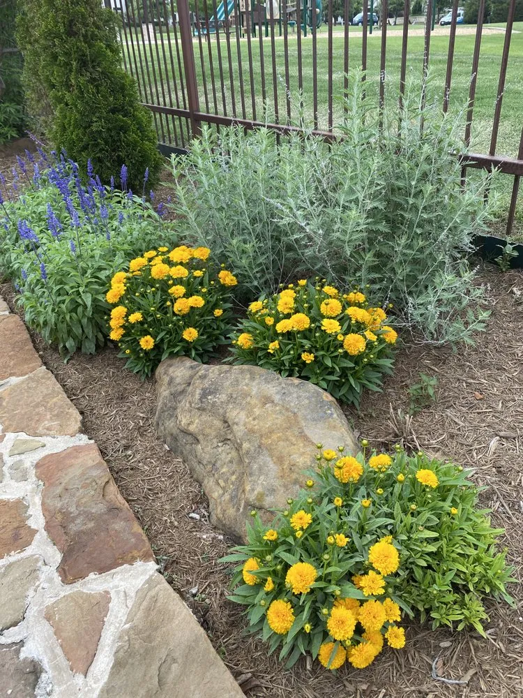 Trusted yard cleanup service experts serving Grandview, TX - Baker Landscaping