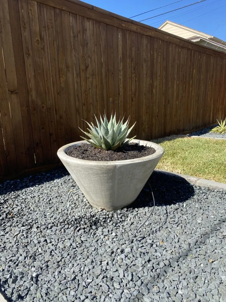 Affordable landscape design for beautiful yards across Grandview, TX - Baker Landscaping