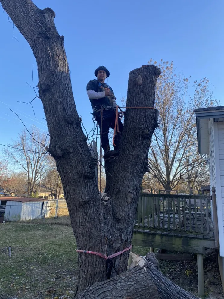 Professional yard maintenance for year-round maintenance across Sand Springs, OK - Baker Lawn and Land