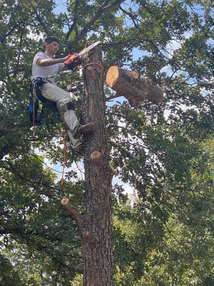 Custom landscape design for homes across Sand Springs, OK - Baker Lawn and Land