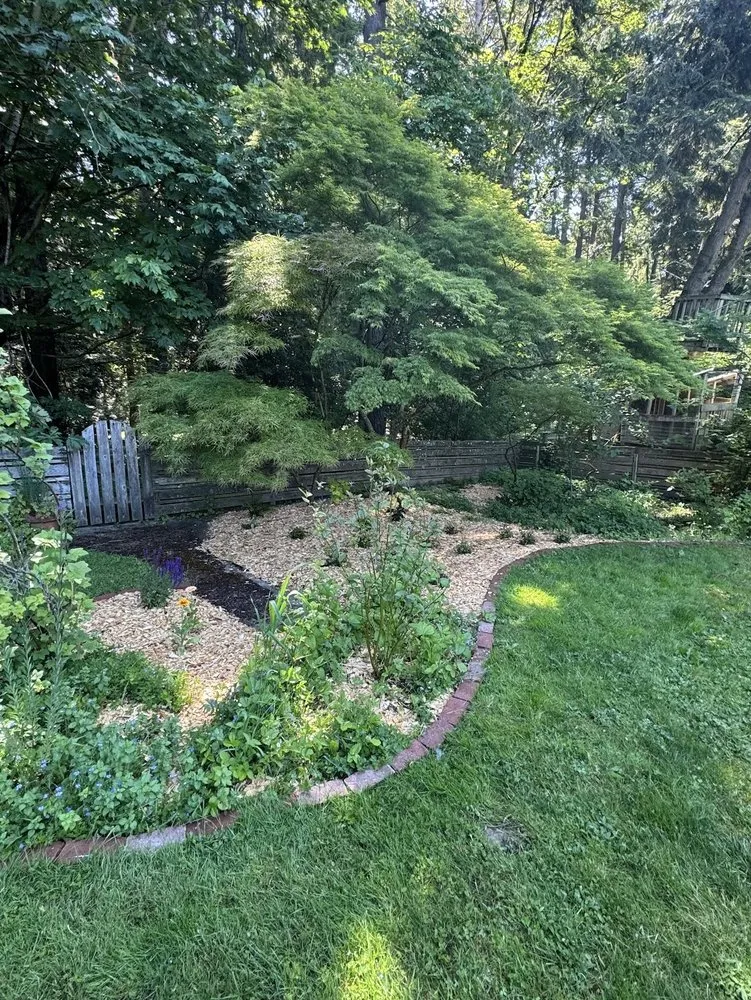 Top-rated yard cleanup service near you in Bow, WA by Baker Tree & Garden