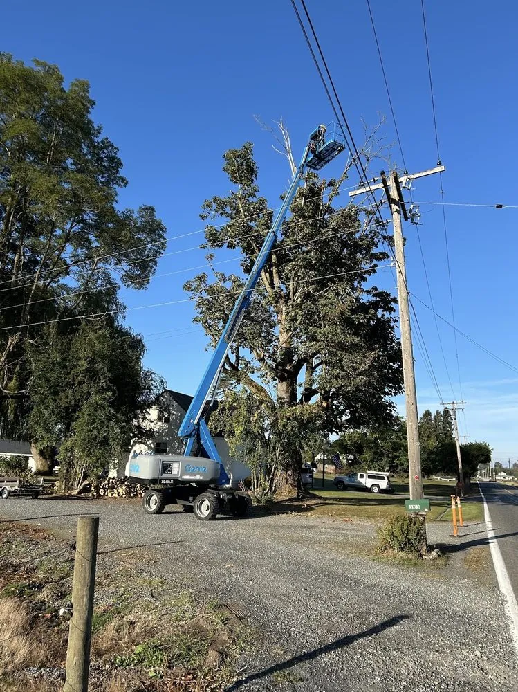 Professional outdoor landscaping in Bow, WA - Baker Tree & Garden