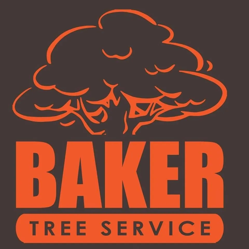 Reliable yard cleanup service in Valley Center, KS by Baker Tree Service