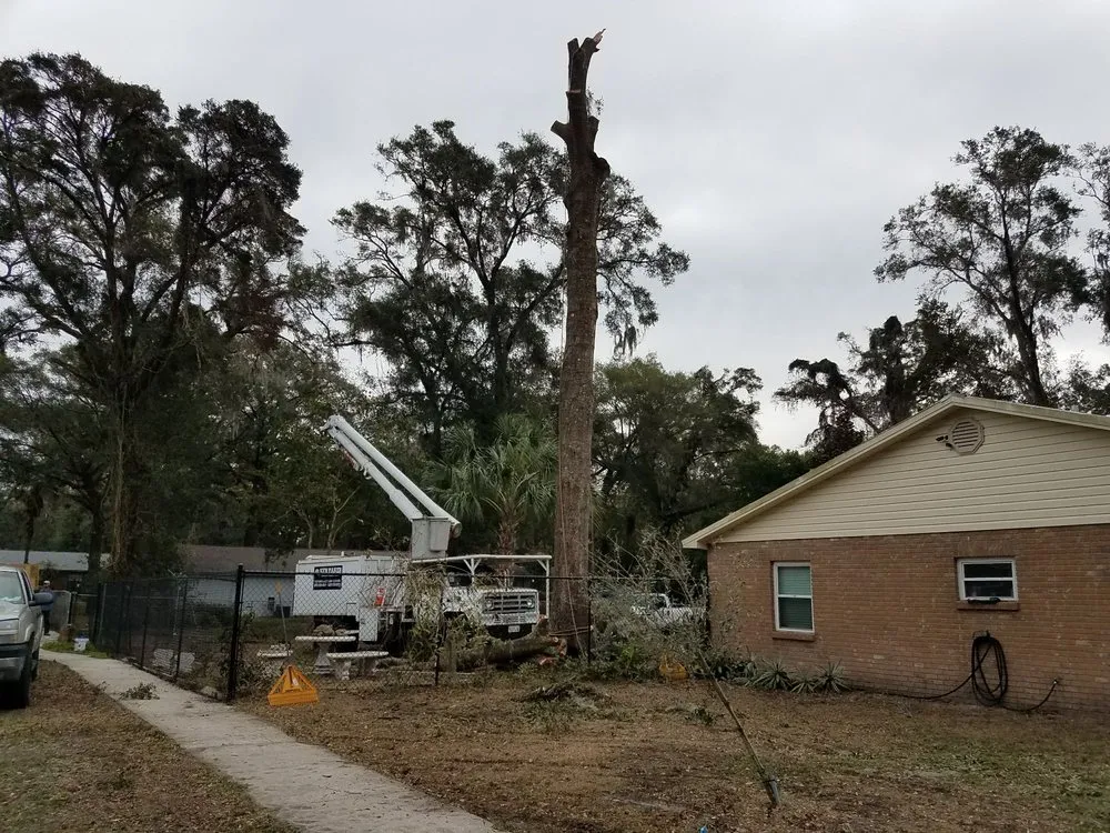 Reliable lawn mowing service for year-round maintenance in Mulberry, FL by Bakers All Around Tree Service