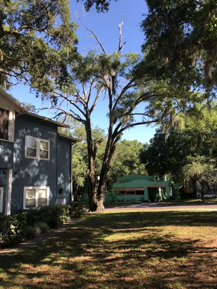 Reliable lawn care service in Mulberry, FL by Bakers All Around Tree Service