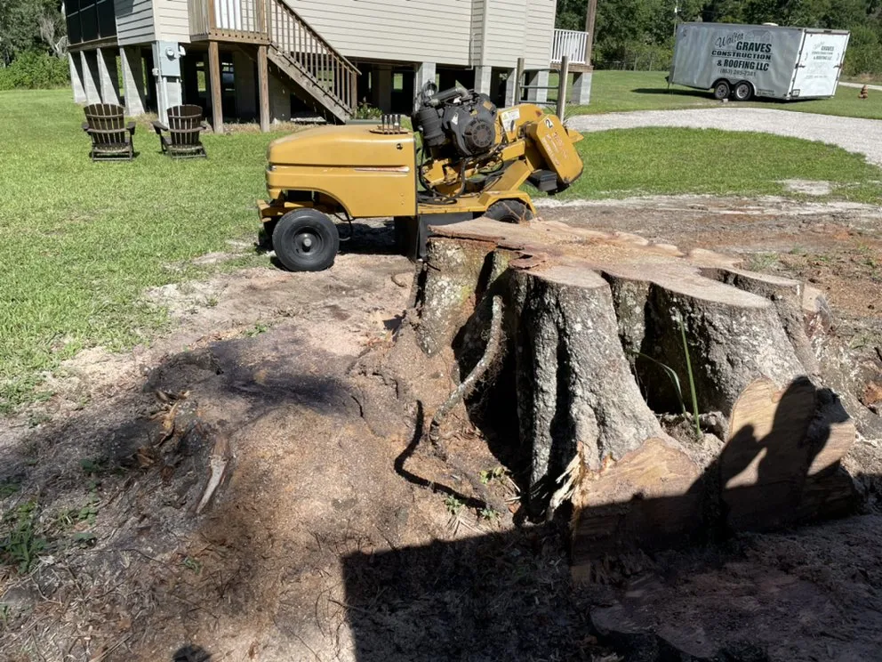 Top-rated yard maintenance experts serving Mulberry, FL - Bakers All Around Tree Service
