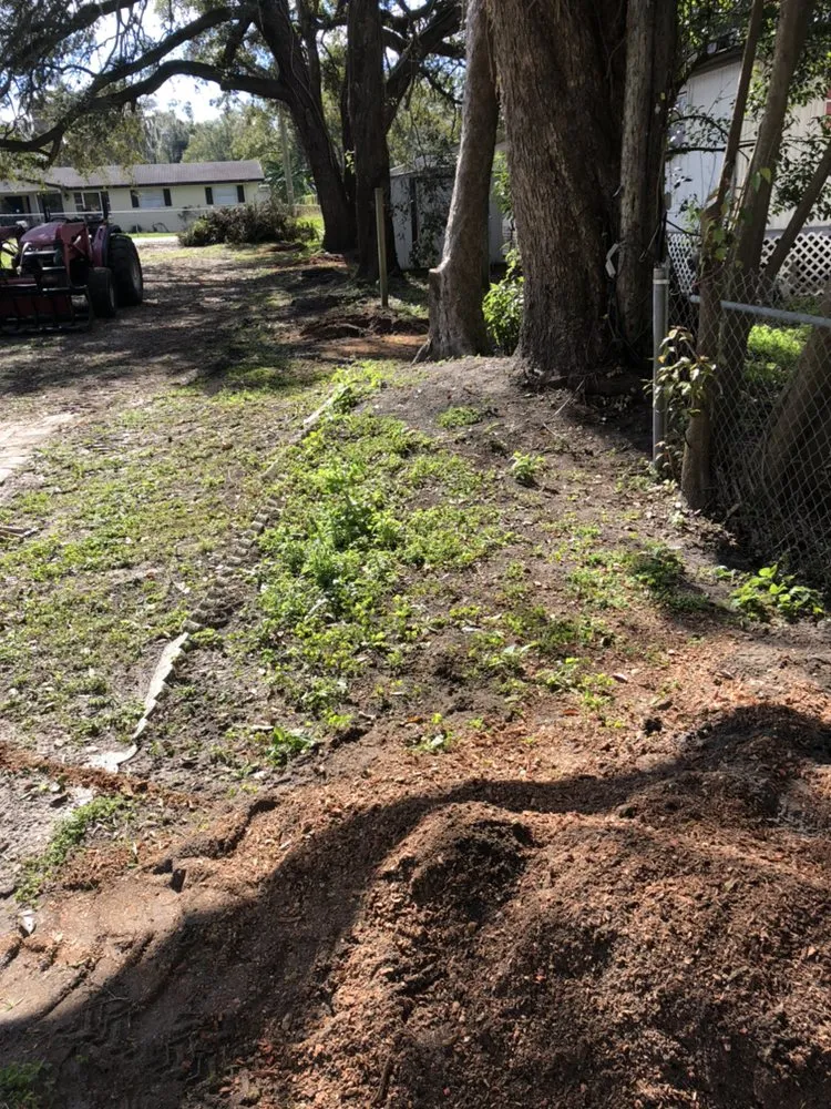 Local residential landscaping experts serving Mulberry, FL - Bakers All Around Tree Service