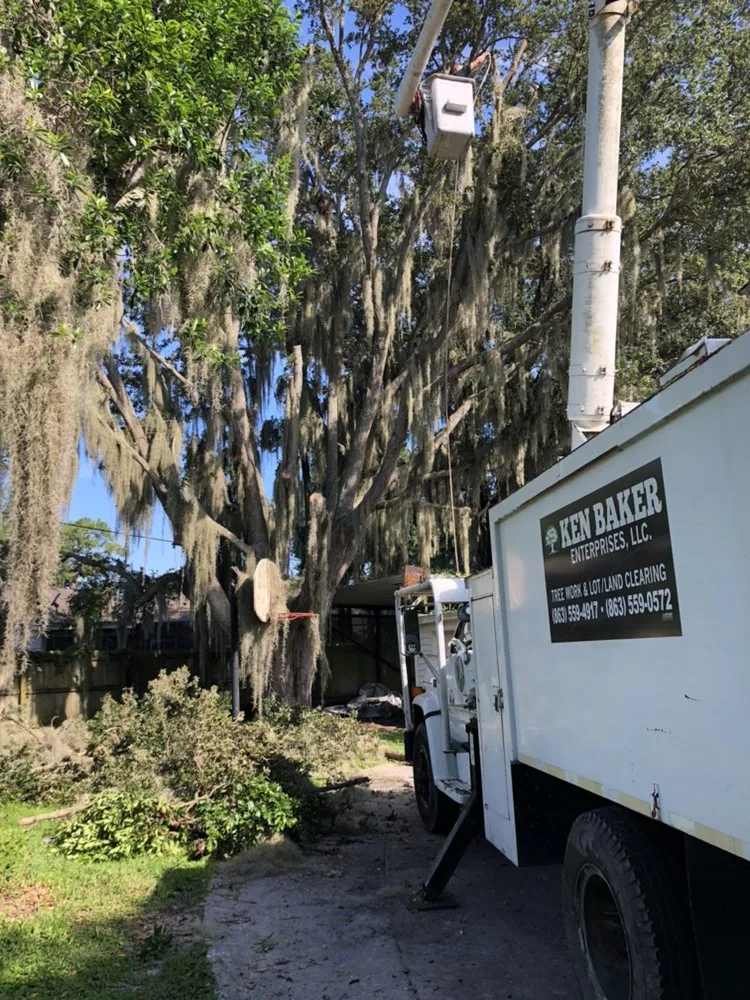 Custom yard cleanup service in Mulberry, FL - Bakers All Around Tree Service