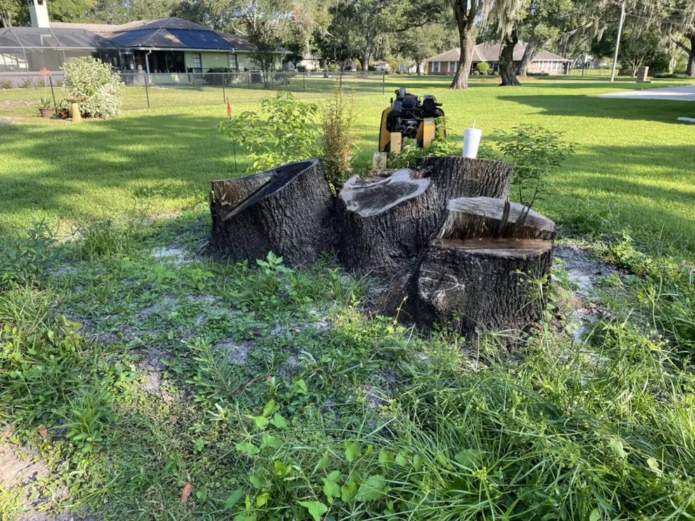 Trusted lawn mowing service for year-round maintenance in Mulberry, FL by Bakers All Around Tree Service