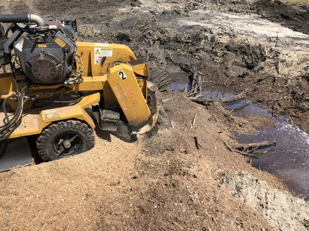 Expert landscaping services experts serving Mulberry, FL - Bakers All Around Tree Service