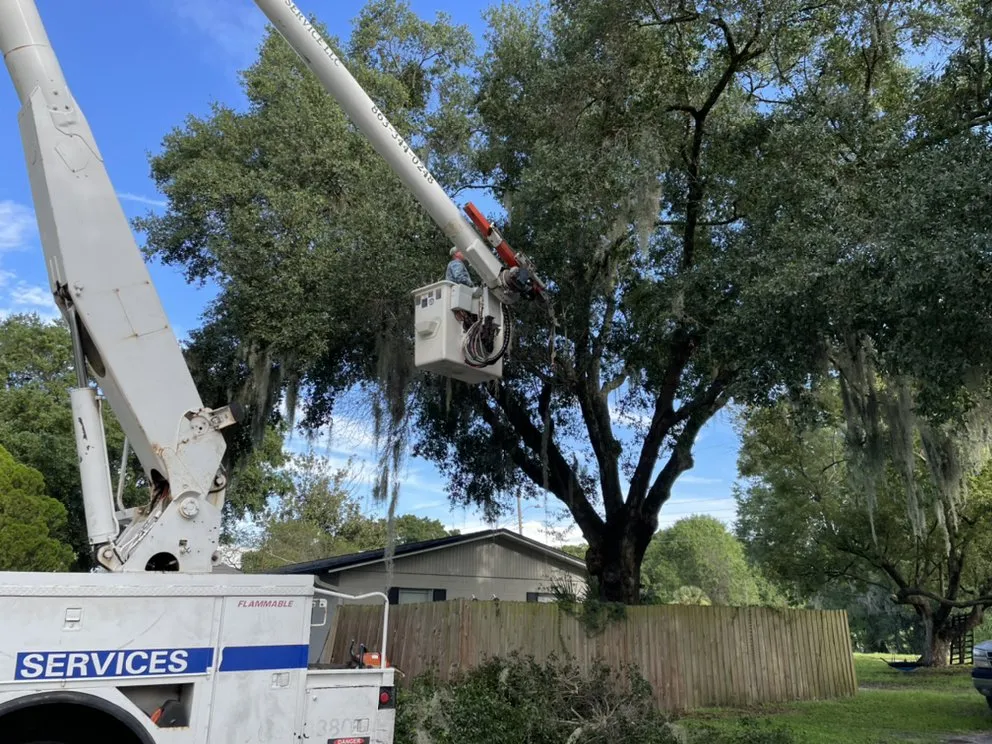 Trusted landscape installation in Mulberry, FL - Bakers All Around Tree Service