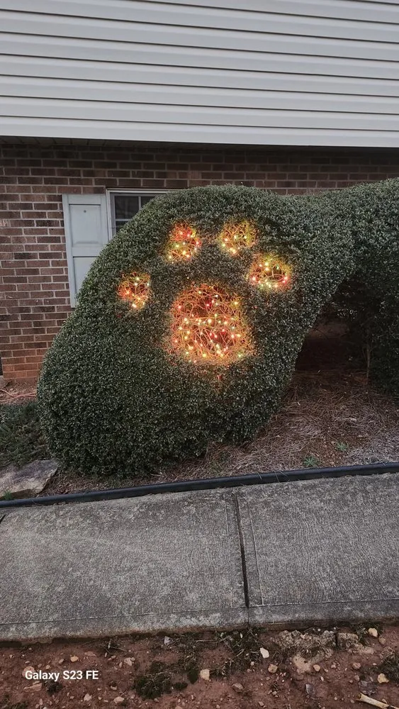 Reliable garden landscaping in King, NC - Bakers Botanicals