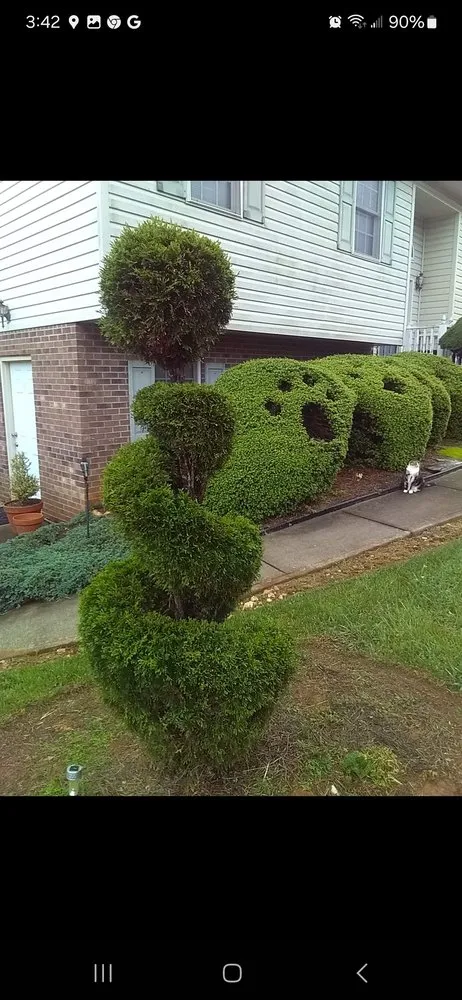 Expert residential landscaping in King, NC - Bakers Botanicals