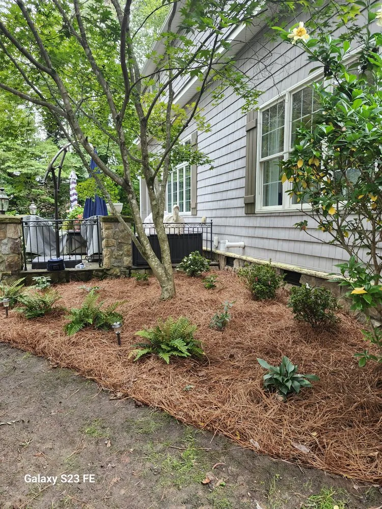 Local landscaping services experts serving King, NC - Bakers Botanicals