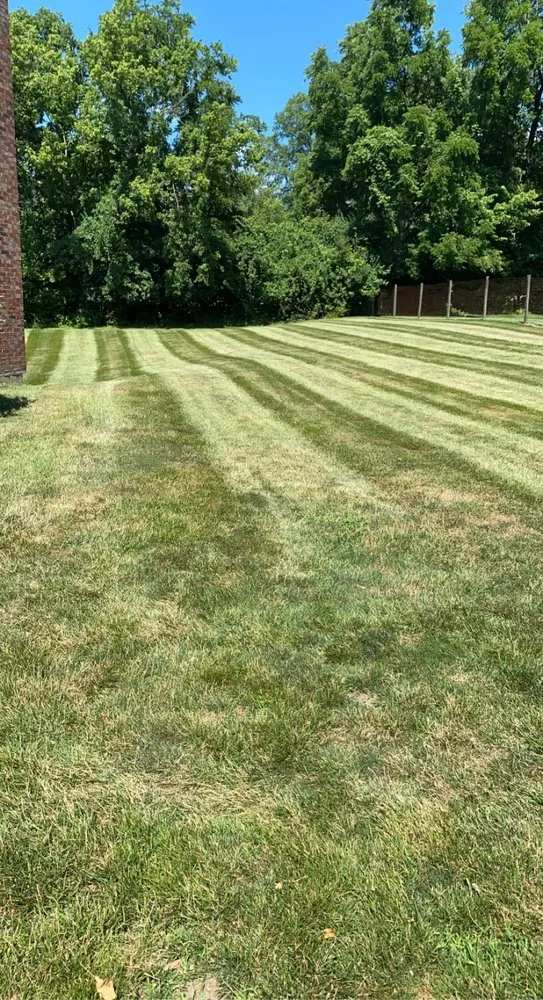 Local lawn care service for year-round maintenance in Hamilton, OH by Bakers Land Solutions