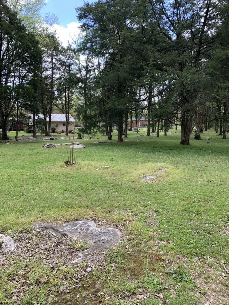 Professional yard cleanup service in Harvest, AL by Bakers Lawn Care