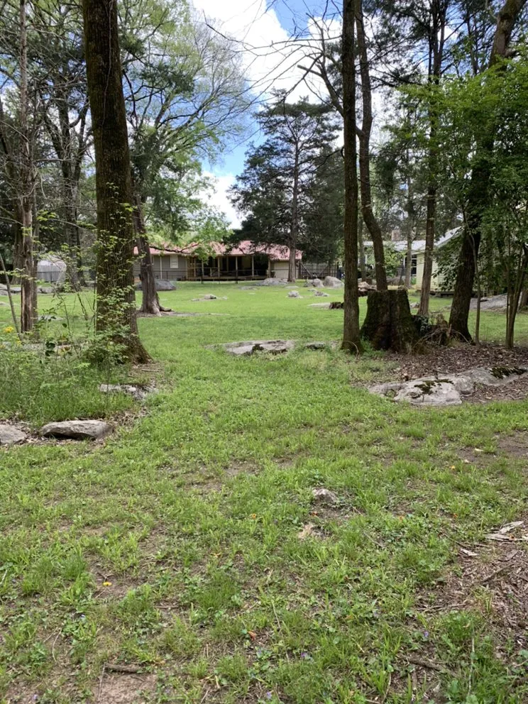 Affordable landscaping services experts serving Harvest, AL - Bakers Lawn Care