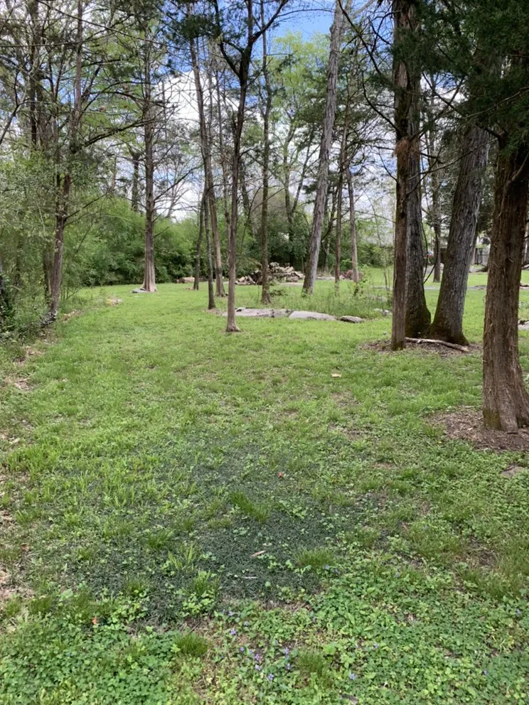 Local lawn care service in Harvest, AL - Bakers Lawn Care