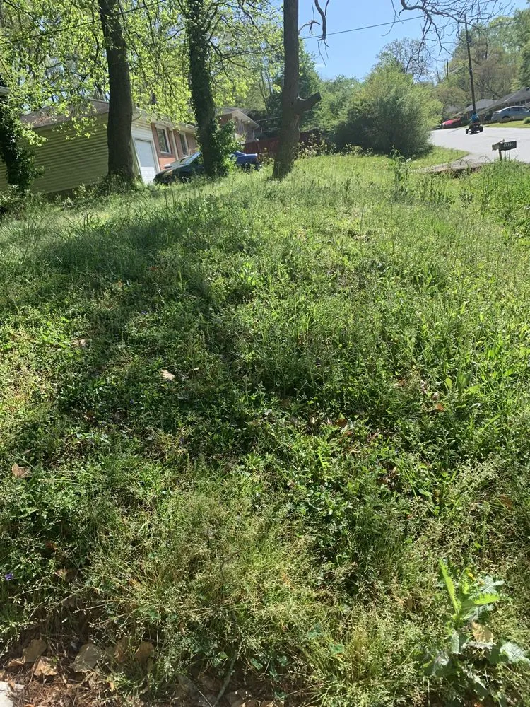 Affordable lawn care service for residential properties in Decatur, GA by Baker’s Lawn Salon