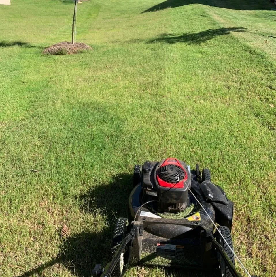 Custom yard cleanup service with custom design in Decatur, GA by Baker’s Lawn Salon