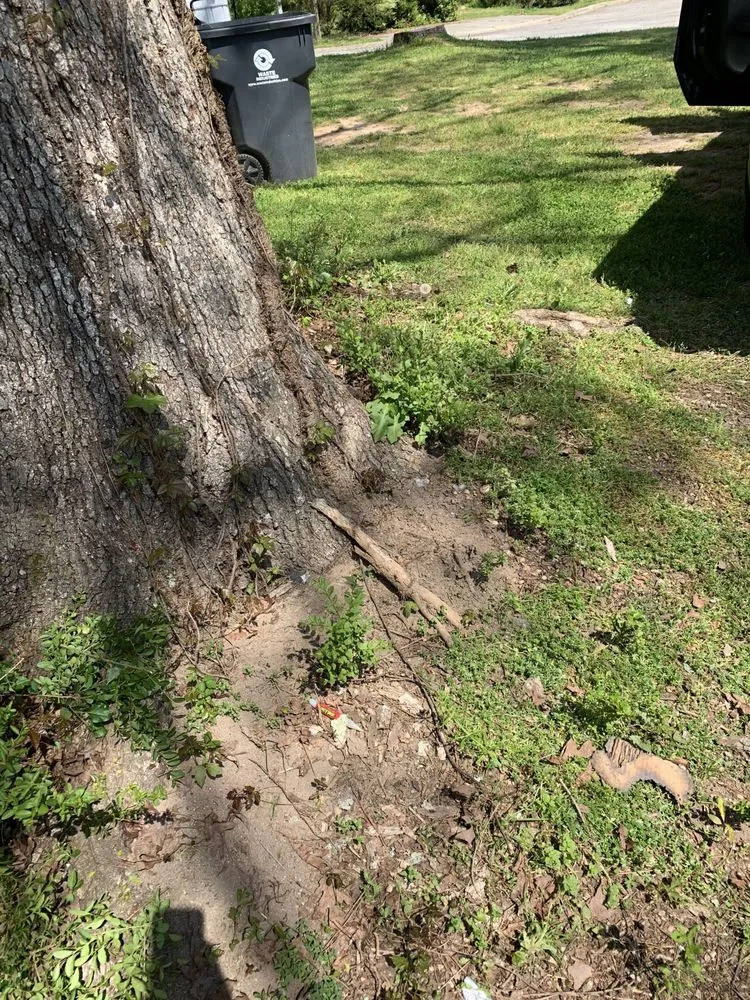 Local lawn mowing service for outdoor upgrades in Decatur, GA by Baker’s Lawn Salon