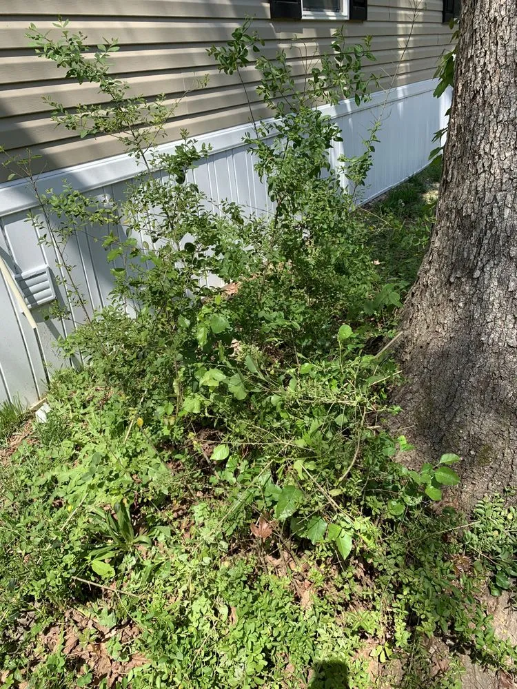 Local residential landscaping for beautiful yards across Decatur, GA - Baker’s Lawn Salon