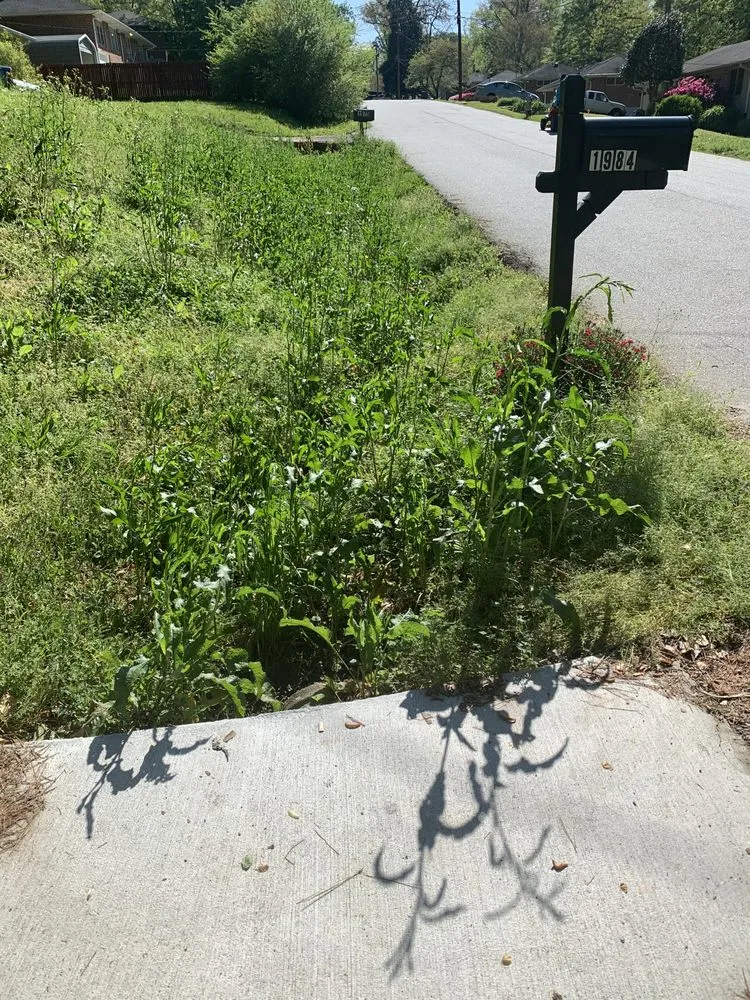 Reliable landscape installation for beautiful yards in Decatur, GA by Baker’s Lawn Salon
