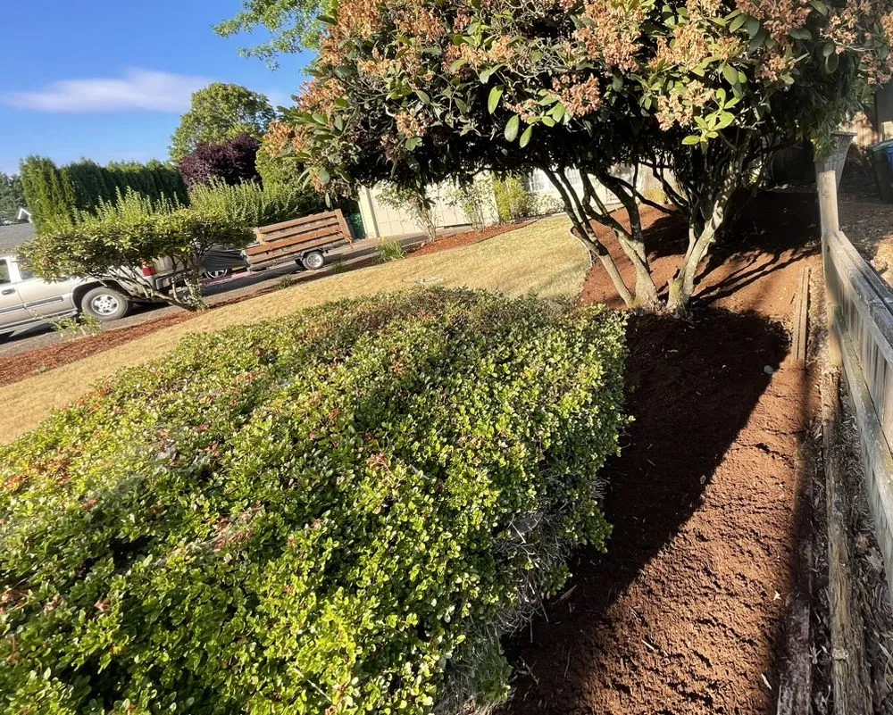 Expert lawn care service in Springfield, OR - Bakers Lawn&Garden