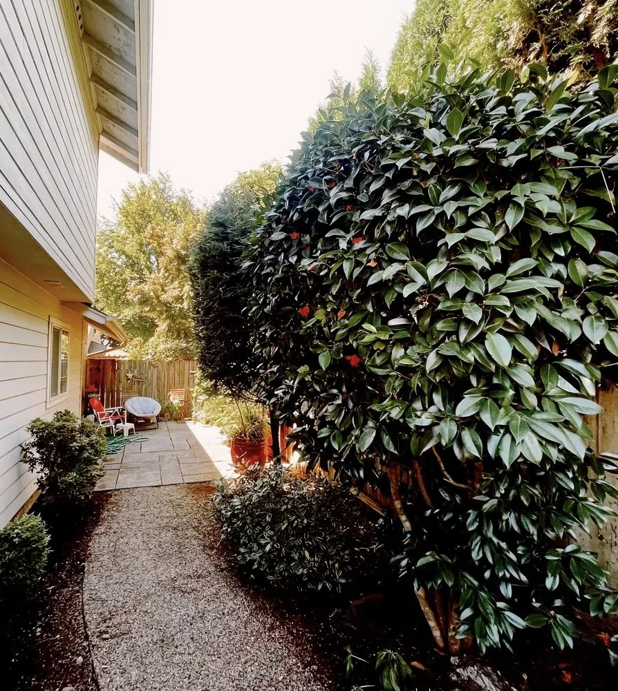 Trusted lawn mowing service experts serving Springfield, OR - Bakers Lawn&Garden