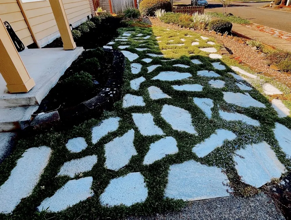 Top-rated lawn care service for residential properties across Springfield, OR - Bakers Lawn&Garden