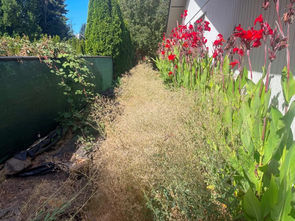 Reliable outdoor landscaping in Springfield, OR - Bakers Lawn&Garden