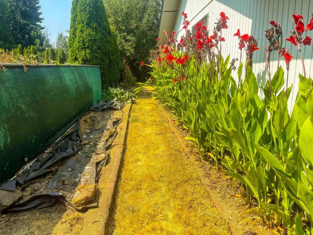 Custom lawn care service for homes in Springfield, OR by Bakers Lawn&Garden