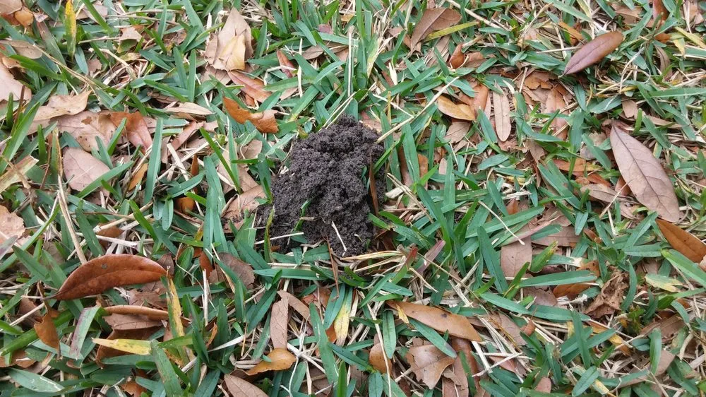 Trusted residential landscaping for residential properties in Lakeland, FL by Baker's Outside Services and Solutions