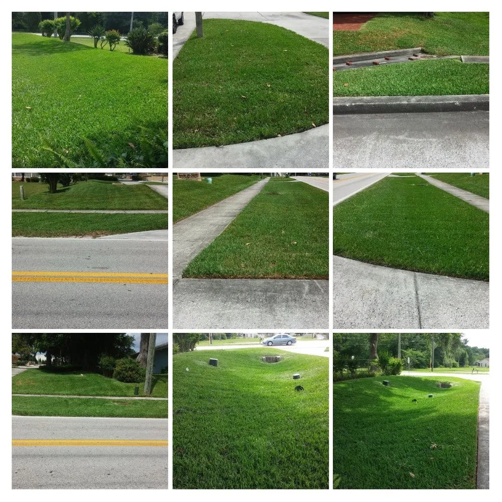 Top-rated yard cleanup service for outdoor upgrades in Lakeland, FL by Baker's Outside Services and Solutions