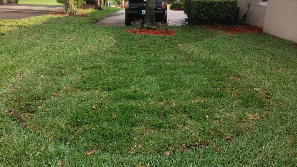 Custom outdoor landscaping experts serving Lakeland, FL - Baker's Outside Services and Solutions