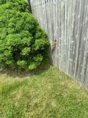 Top-rated outdoor landscaping experts serving Levittown, PA - Bakers Property Maintenance